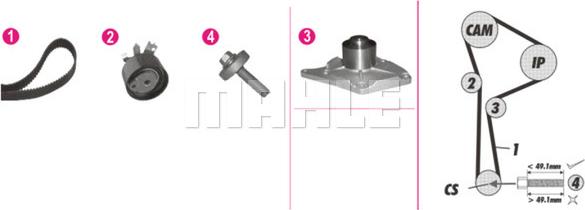 Wilmink Group WG2182121 - Water Pump & Timing Belt Set autospares.lv