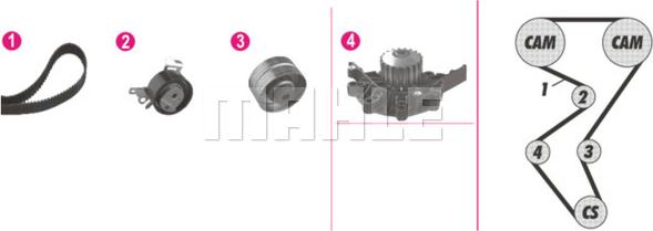 Wilmink Group WG2182179 - Water Pump & Timing Belt Set autospares.lv