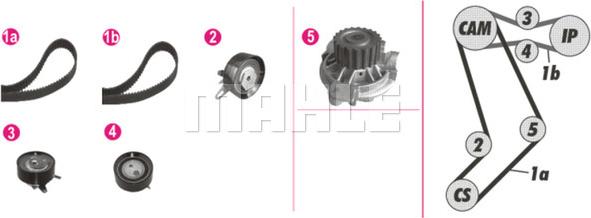 Wilmink Group WG2182176 - Water Pump & Timing Belt Set autospares.lv