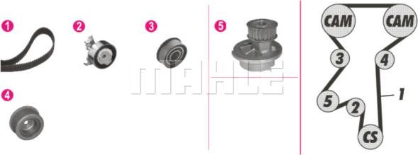 Wilmink Group WG2182206 - Water Pump & Timing Belt Set autospares.lv