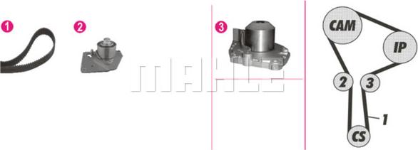 Wilmink Group WG2182219 - Water Pump & Timing Belt Set autospares.lv