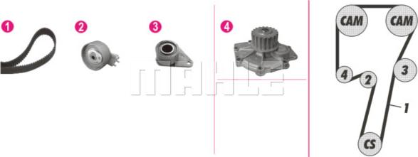 Wilmink Group WG2182215 - Water Pump & Timing Belt Set autospares.lv