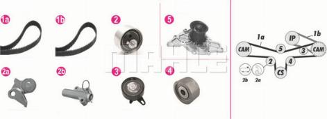 Wilmink Group WG2182210 - Water Pump & Timing Belt Set autospares.lv