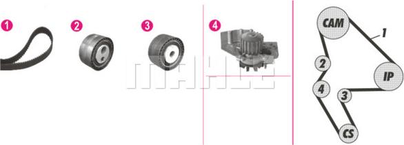 Wilmink Group WG2182211 - Water Pump & Timing Belt Set autospares.lv