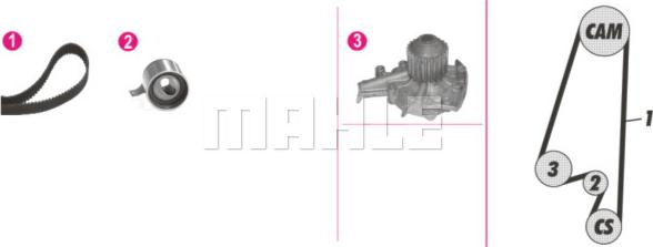 Wilmink Group WG2182231 - Water Pump & Timing Belt Set autospares.lv