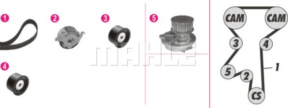 Wilmink Group WG2182222 - Water Pump & Timing Belt Set autospares.lv