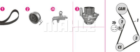 Wilmink Group WG2182227 - Water Pump & Timing Belt Set autospares.lv