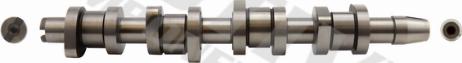 Wilmink Group WG2128340 - Camshaft autospares.lv