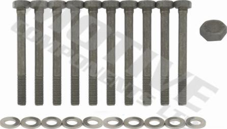 Wilmink Group WG2123134 - Bolt Kit, cylinder head autospares.lv