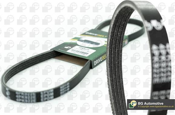 Wilmink Group WG2176592 - V-Belt autospares.lv