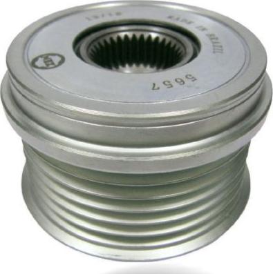 Wilmink Group WG2262479 - Pulley, alternator, freewheel clutch autospares.lv