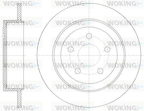 Woking D6902.00 - Brake Disc autospares.lv