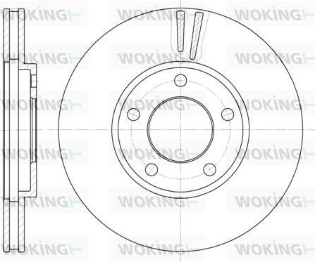 Woking D6419.10 - Brake Disc autospares.lv