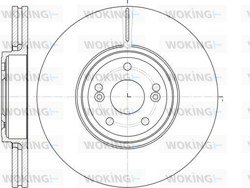 Woking D6695.10 - Brake Disc autospares.lv