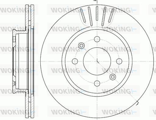 Woking D6666.10 - Brake Disc autospares.lv