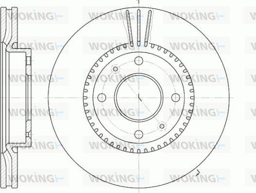 Woking D6668.10 - Brake Disc autospares.lv