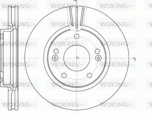 Woking D6667.10 - Brake Disc autospares.lv