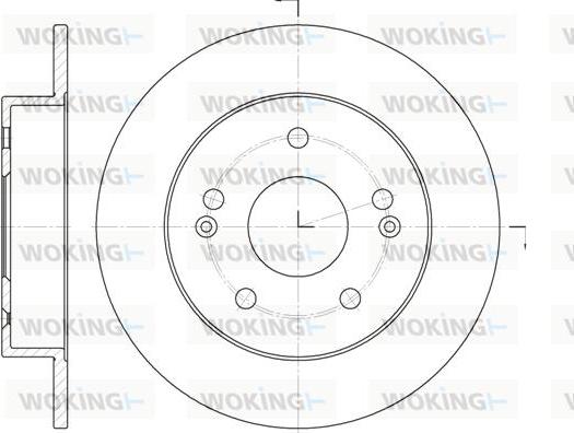 Woking D61981.00 - Brake Disc autospares.lv