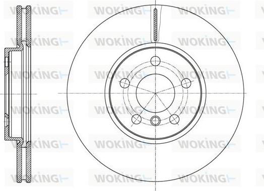 Woking D61596.10 - Brake Disc autospares.lv