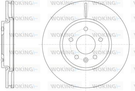 Woking D61541.10 - Brake Disc autospares.lv