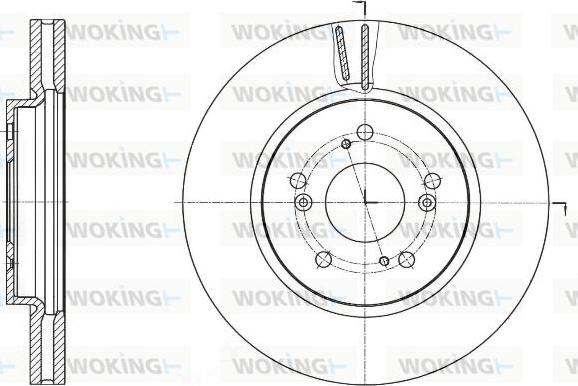 Woking D61643.10 - Brake Disc autospares.lv