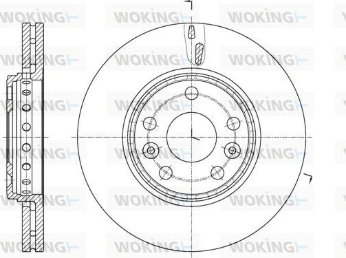 Woking D61655.10 - Brake Disc autospares.lv