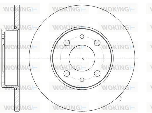 Woking D6110.01 - Brake Disc autospares.lv