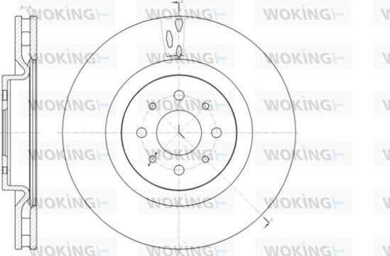 Woking D61391.10 - Brake Disc autospares.lv