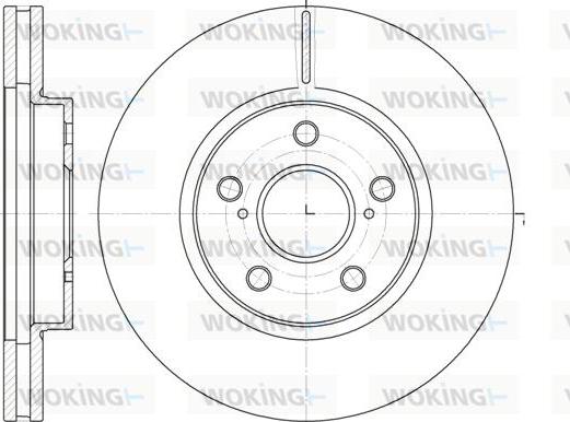 Woking D6862.10 - Brake Disc autospares.lv
