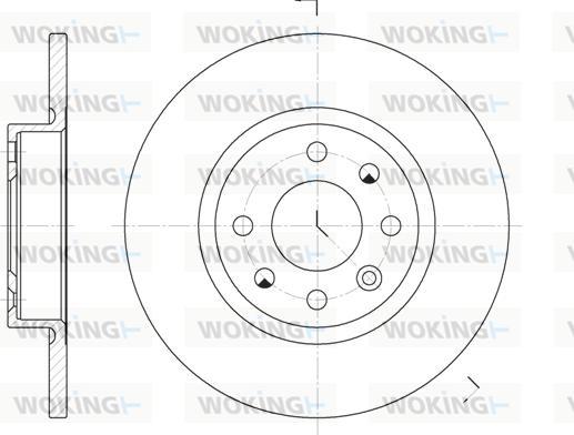 Woking D6209.00 - Brake Disc autospares.lv