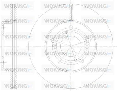 Woking D62061.10 - Brake Disc autospares.lv