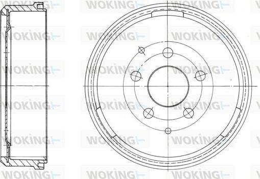 Woking D62030.00 - Brake Disc autospares.lv