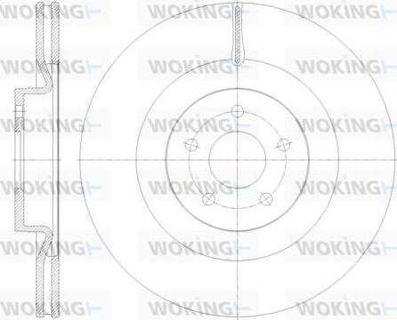 Woking D62114.10 - Brake Disc autospares.lv