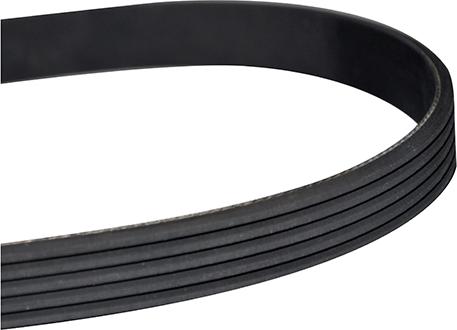 WXQP 410067 - V-Ribbed Belt autospares.lv