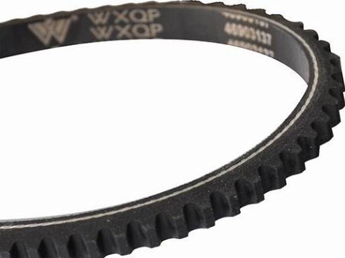 WXQP 10696 - V-Belt autospares.lv