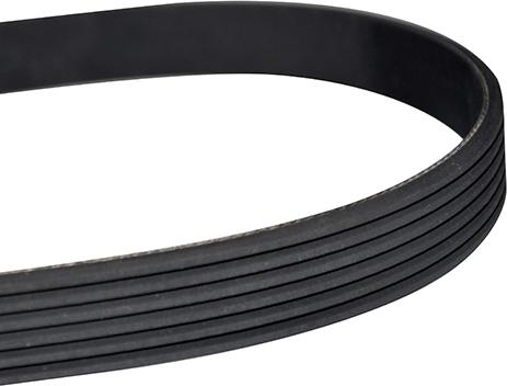 WXQP 10869 - V-Ribbed Belt autospares.lv