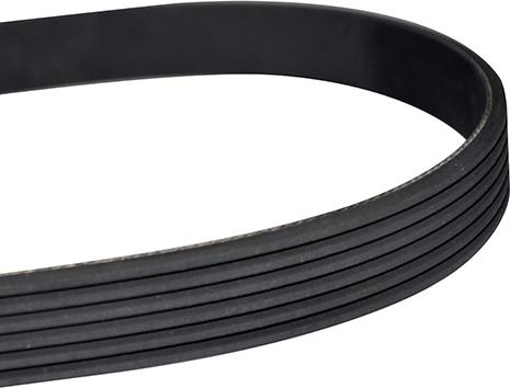 WXQP 10889 - V-Ribbed Belt autospares.lv