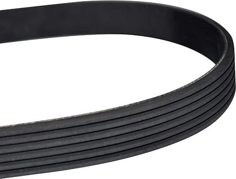 WXQP 10881 - V-Ribbed Belt autospares.lv