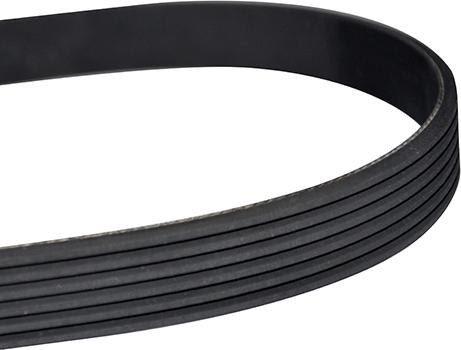 WXQP 10874 - V-Ribbed Belt autospares.lv