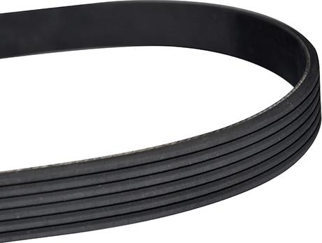 WXQP 10875 - V-Ribbed Belt autospares.lv