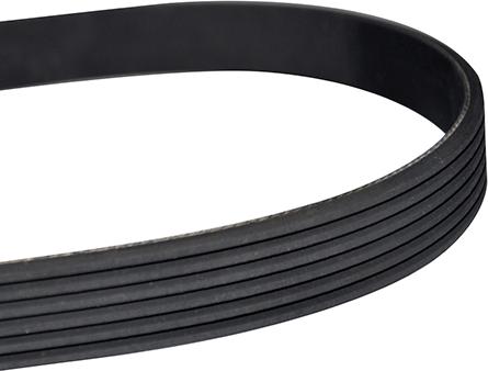 WXQP 10876 - V-Ribbed Belt autospares.lv