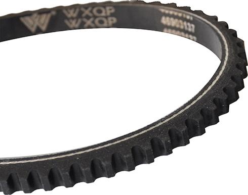 WXQP 10746 - V-Belt autospares.lv