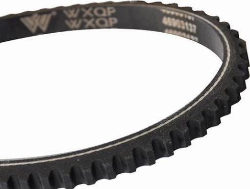 WXQP 10750 - V-Belt autospares.lv
