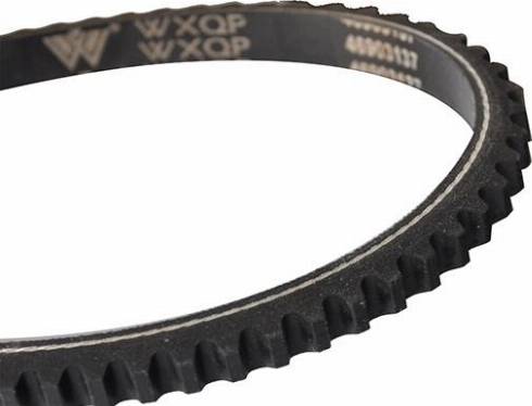 WXQP 10753 - V-Belt autospares.lv