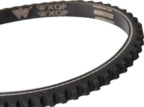 WXQP 10700 - V-Belt autospares.lv