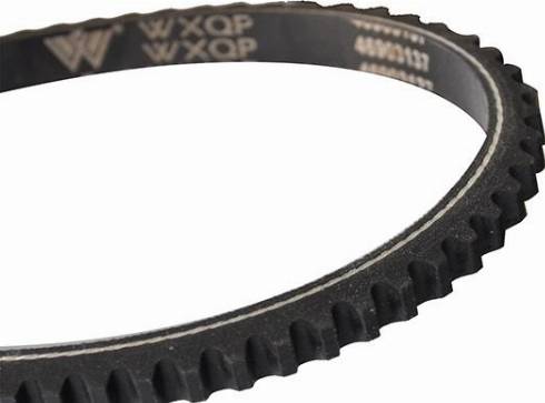 WXQP 10702 - V-Belt autospares.lv