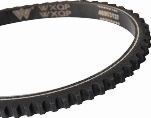 WXQP 10734 - V-Belt autospares.lv