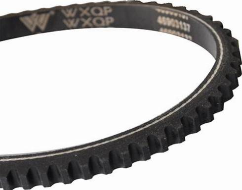 WXQP 10731 - V-Belt autospares.lv