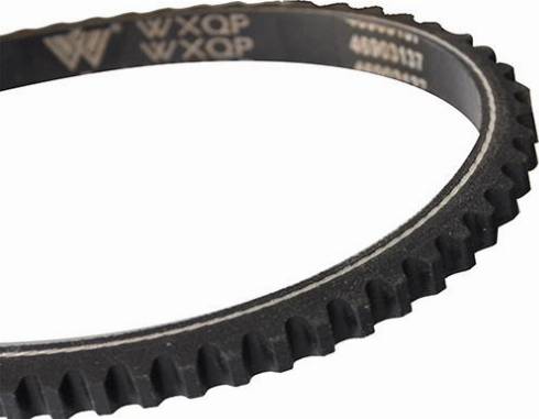 WXQP 10728 - V-Belt autospares.lv