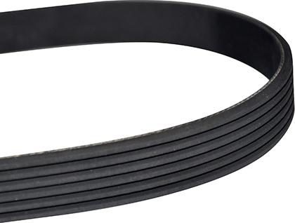 WXQP 11566 - V-Ribbed Belt autospares.lv